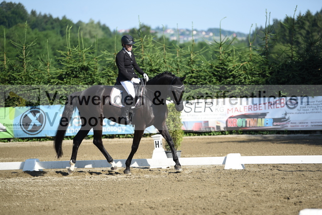 DSC_7124 | equestrian-live-com