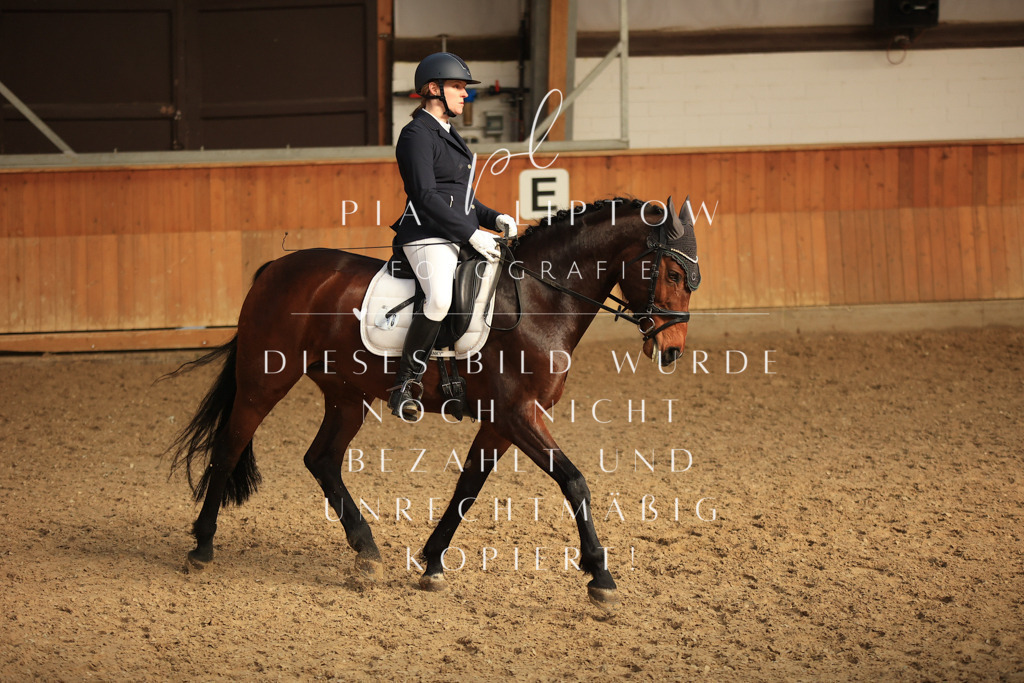 IMGT4381 | pl-fotografie