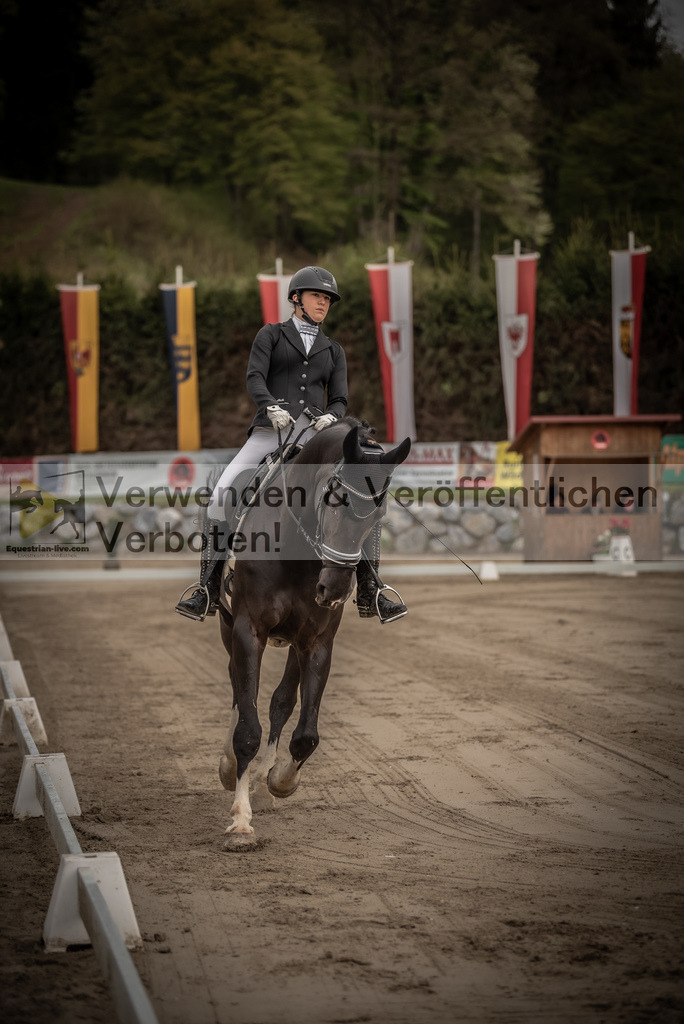 DSC_8200 | equestrian-live-com