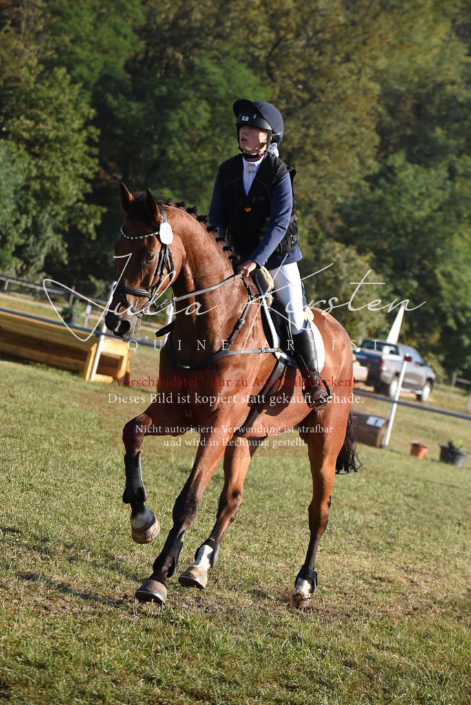 DSC_5007 | Pferde- und Turnierfotografie in Westsachsen. Pferdeportraits, Auftragszeichnungen und intuitive Kunst.