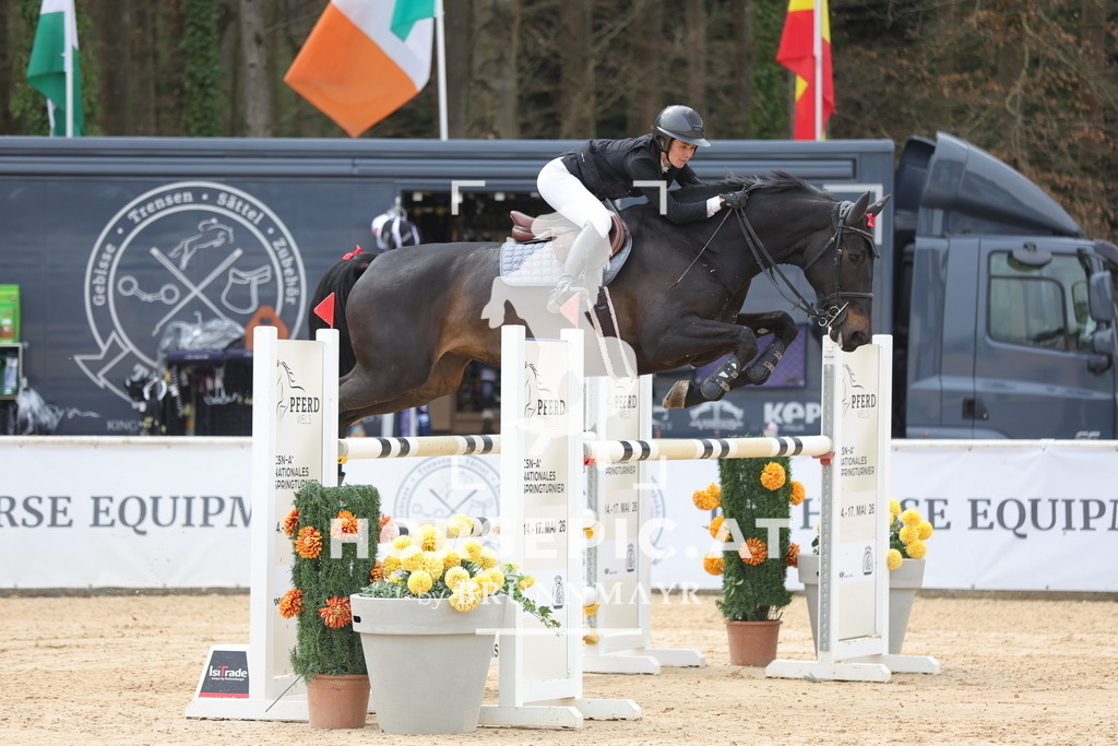0P6A5338 | Willkommen bei Brunnmayr - Design & Fotografie – Ihrem Spezialisten für Reitturniere und Pferdeveranstaltungen in Oberösterreich, Salzburg und Bayern! Seit über 17 Jahren sind wir leidenschaftlich dabei.