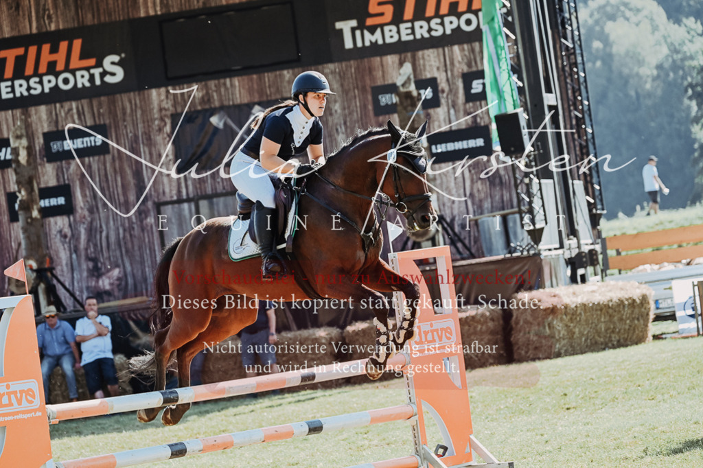 DSC_5712 | Pferde- und Turnierfotografie in Westsachsen. Pferdeportraits, Auftragszeichnungen und intuitive Kunst.