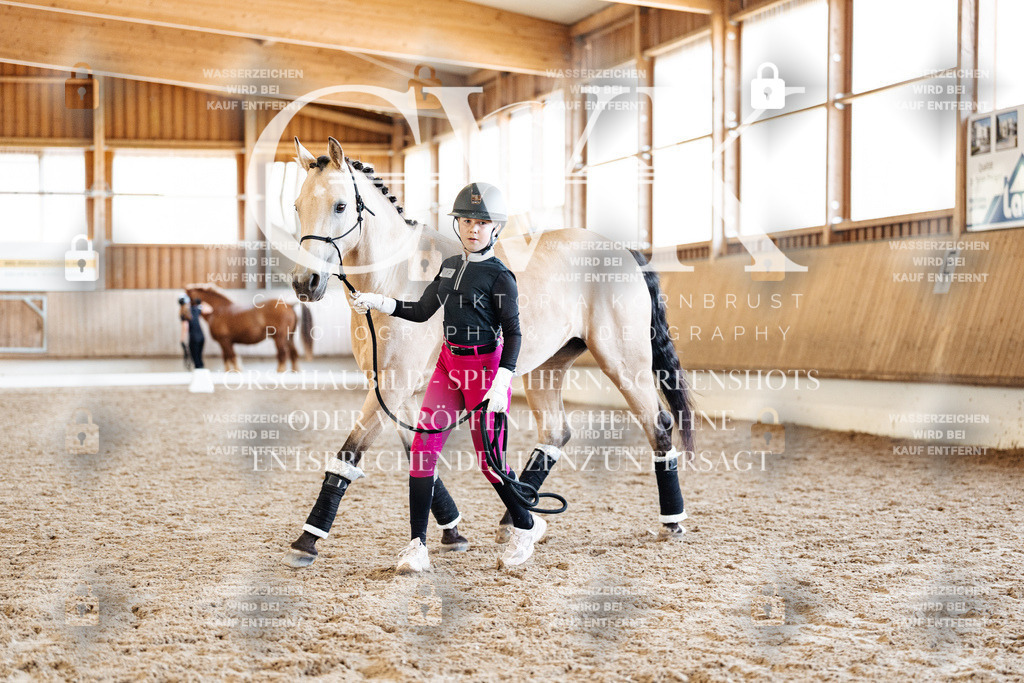 CK907183 | Turnierfotografie Pferdefotografie Trier Rheinland-Pfalz Pferdesport Reitsport Tierfotografie Sportfotografie Pferdevideo Pferdevideografie Equestrianvideography equestrianphotography  - Realisiert mit Pictrs.com