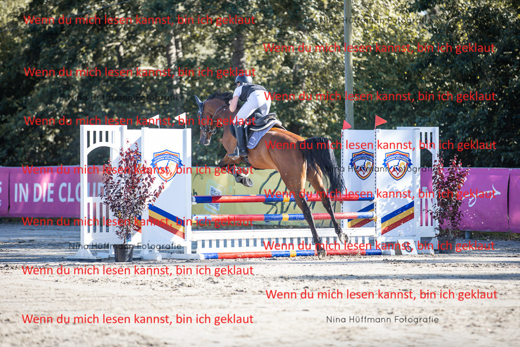 BK1A7393 | Turnierbilder Turnierfotos Nina Hüffmann Turnierfotografie Pferdefotografie Tierzeichnung Haustierzeichnung Pferdezeichnung Hundezeichnung Videograf  - Realisiert mit Pictrs.com
