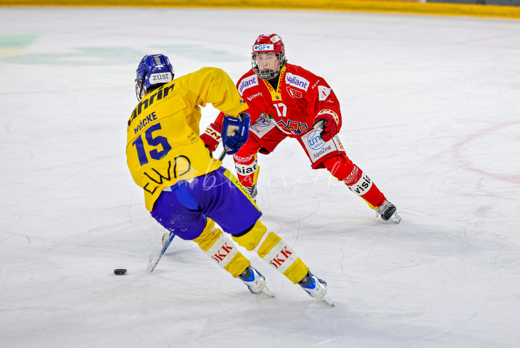 EHCB vs HCD-0688 | Sportbilder, Sportfotograf, Hochzeits- und Eventfotografin, Flugshows, Portraits und Tiershooting, Aviation, Downhill, Nationalleague, Swissleague, International