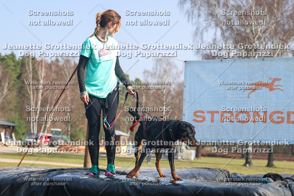 Dog Paparazzi - Strongdog North Mrz26-1852 | Dog Paparazzi Jeanette Grottendiek Fotografie & Videografie - Realisiert mit Pictrs.com