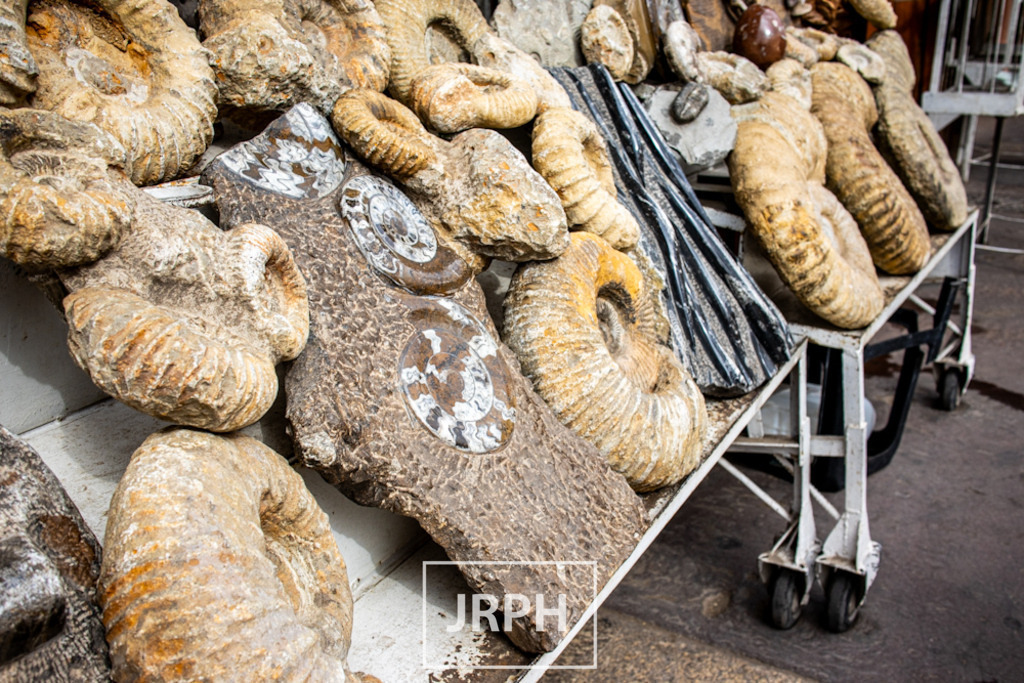 IMG_8032 | jrph - Realisiert mit Pictrs.com