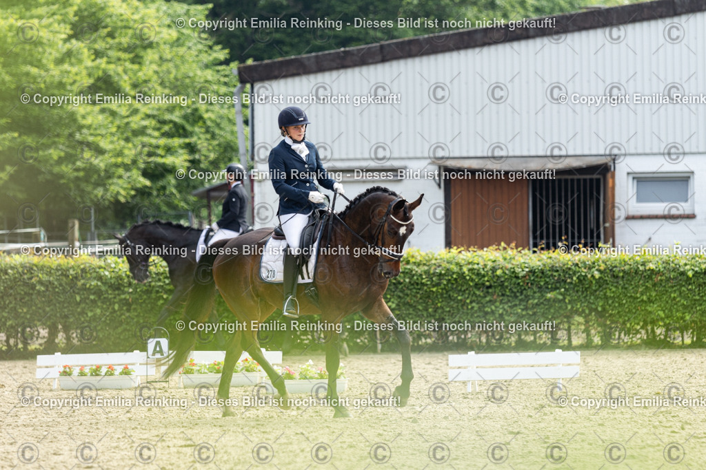 CL5A5367 | Emilia Reinking Fotografie - Realisiert mit Pictrs.com