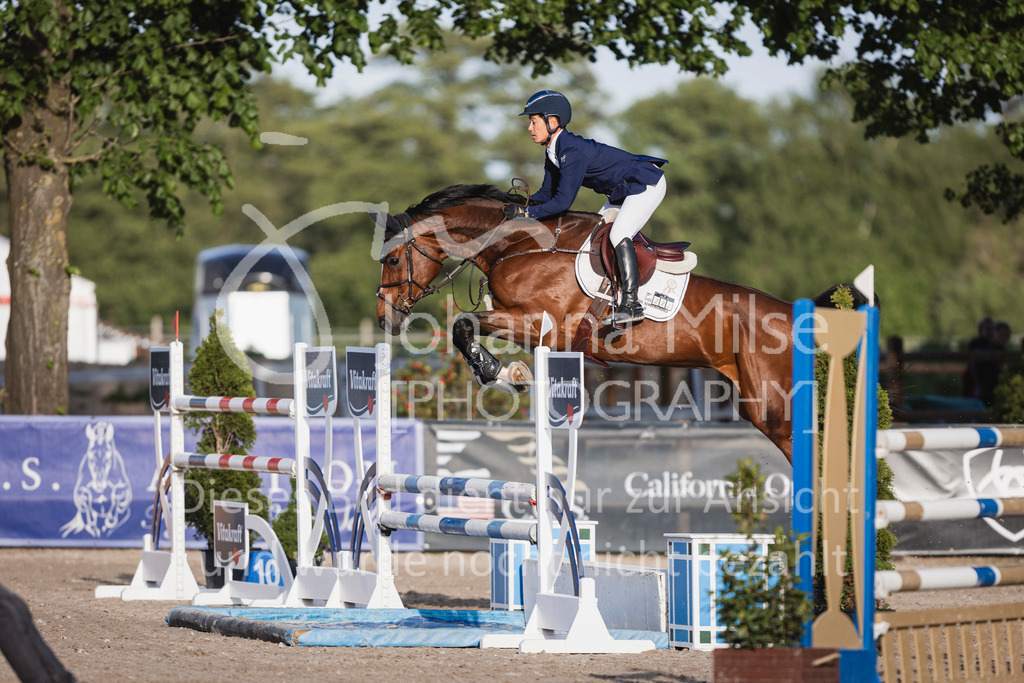 250506_Mühlen_Youngster-M-625 | Deine schönsten Turniermomente als professionelle Fotos! Entdecke hochwertige Pferdesport-Fotografie im Online-Shop. Jetzt Fotos finden & bestellen!