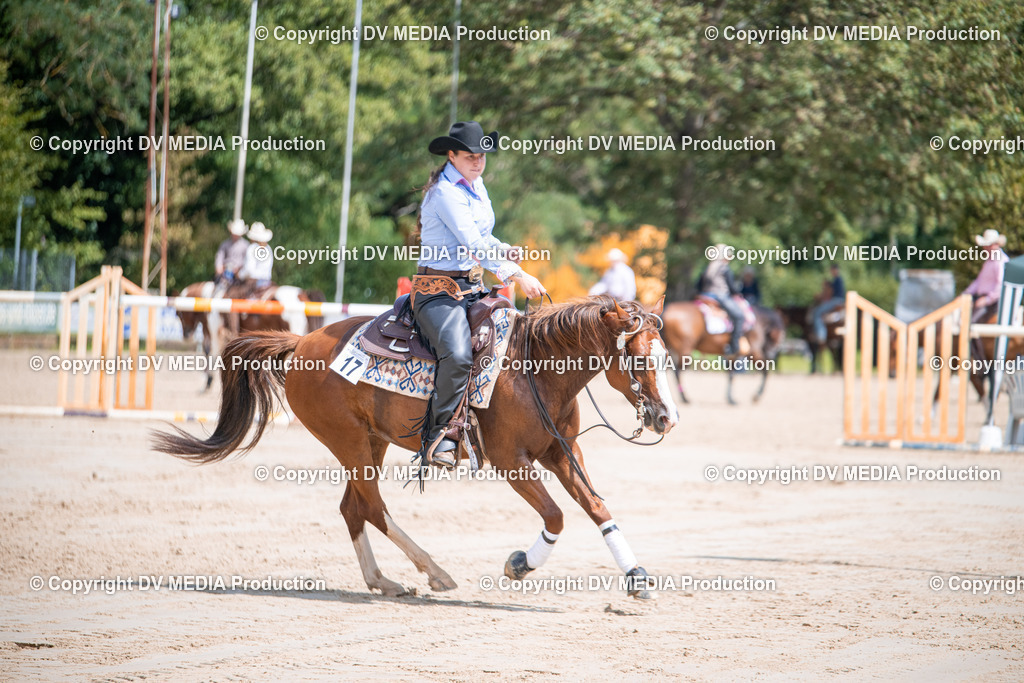 ZS3_5252 | dv-media-shop - Realisiert mit Pictrs.com