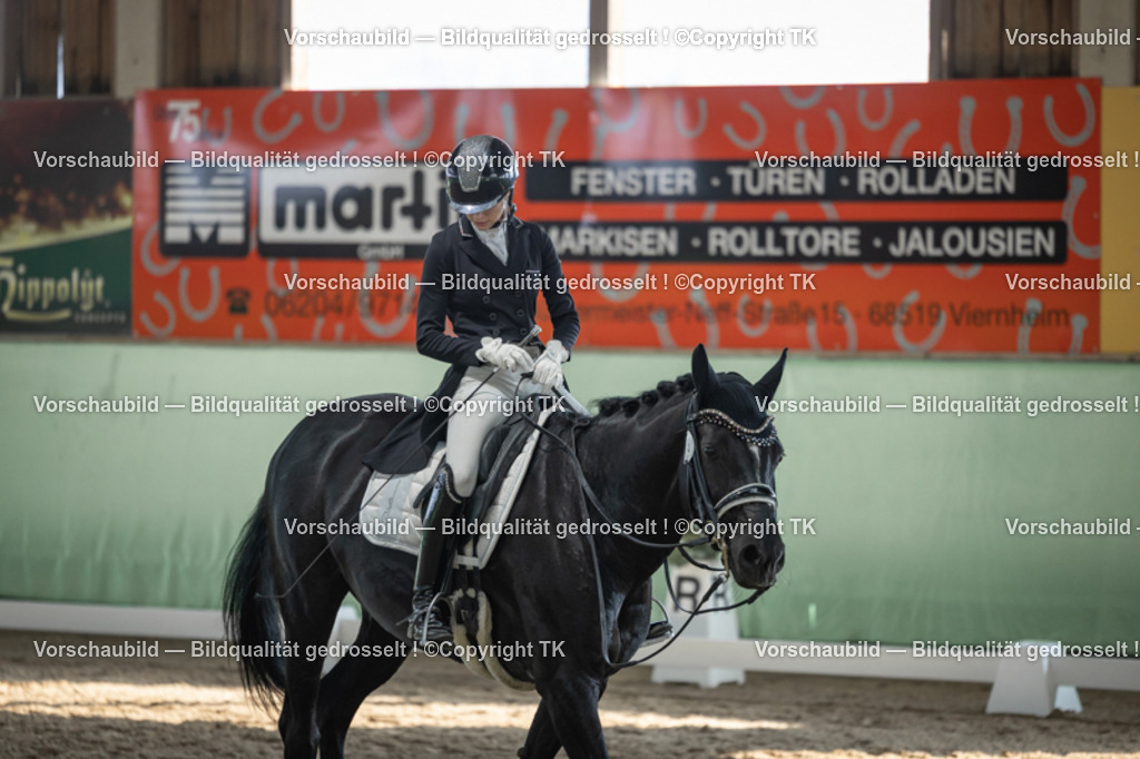 _D5A0278 | Emotionale Pferde- & People-Fotografie rund um Heidelberg, Leimen & Umgebung. Natürliche Fotos von Pferd, Mensch & Familie. Jetzt Termin sichern!