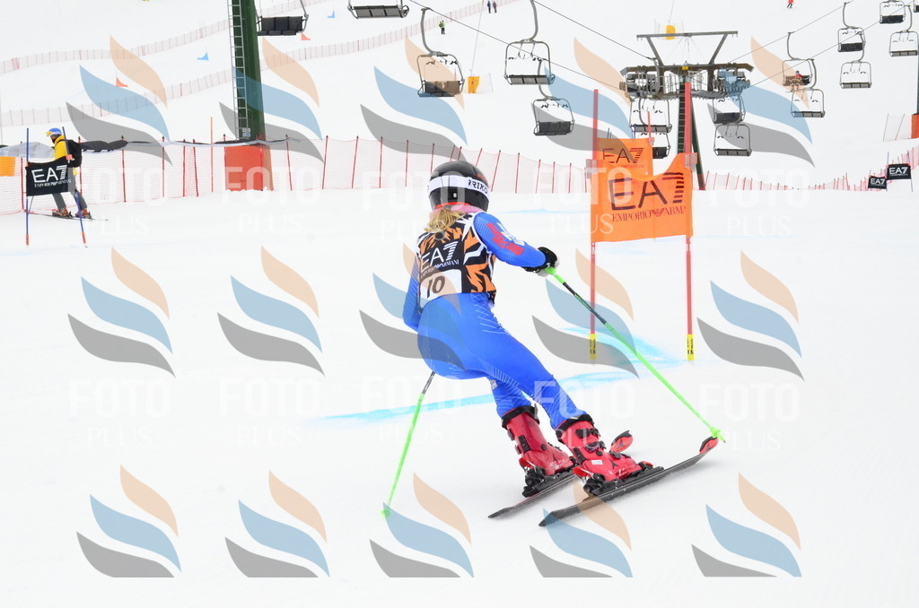 _ELE4041 | holidayphoto