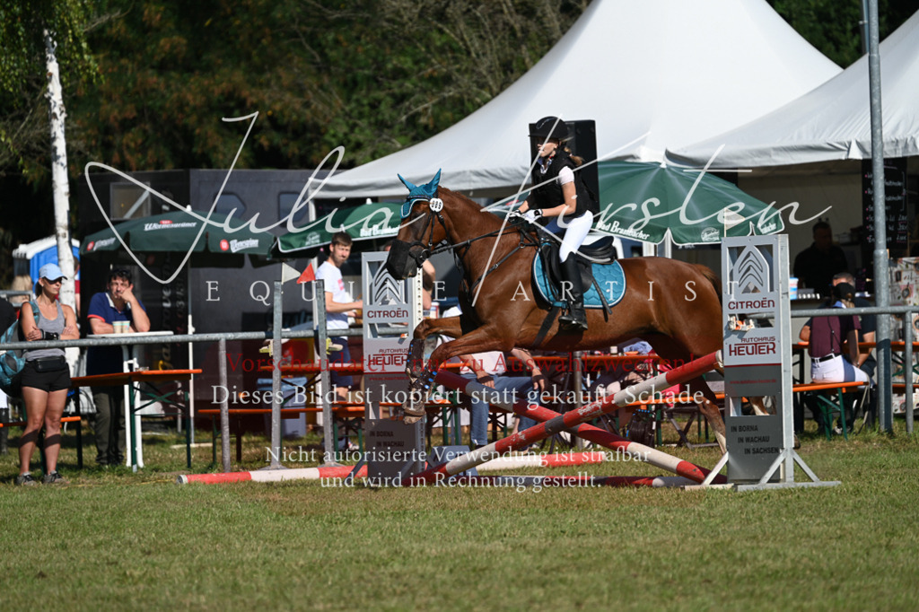 DSC_5328 | Pferde- und Turnierfotografie in Westsachsen. Pferdeportraits, Auftragszeichnungen und intuitive Kunst.