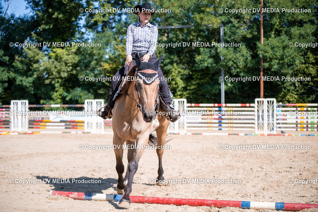 ZS1_0823 | dv-media-shop - Realisiert mit Pictrs.com