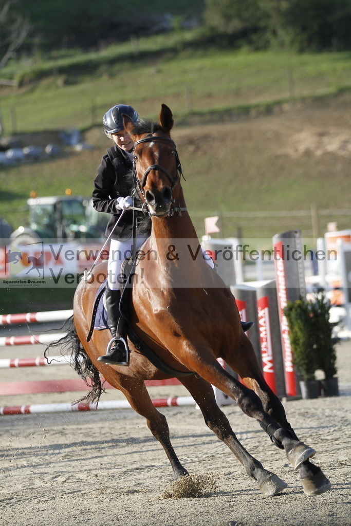 _MG_8440 | equestrian-live-com