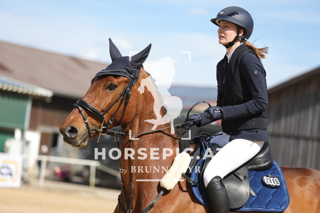 0P6A9191 | Willkommen bei Brunnmayr - Design & Fotografie – Ihrem Spezialisten für Reitturniere und Pferdeveranstaltungen in Oberösterreich, Salzburg und Bayern! Seit über 17 Jahren sind wir leidenschaftlich dabei.