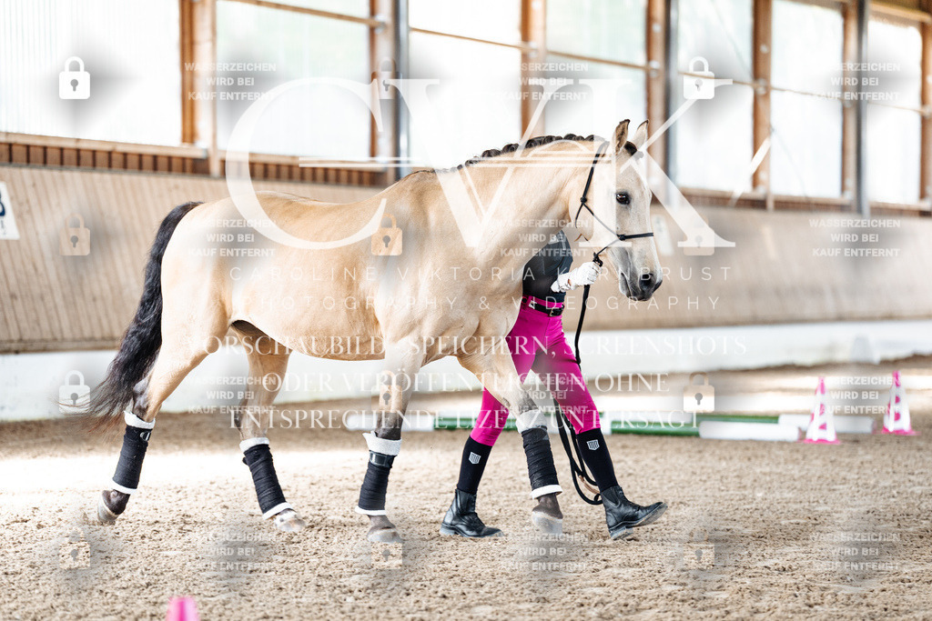 CK905359 | Turnierfotografie Pferdefotografie Trier Rheinland-Pfalz Pferdesport Reitsport Tierfotografie Sportfotografie Pferdevideo Pferdevideografie Equestrianvideography equestrianphotography  - Realisiert mit Pictrs.com