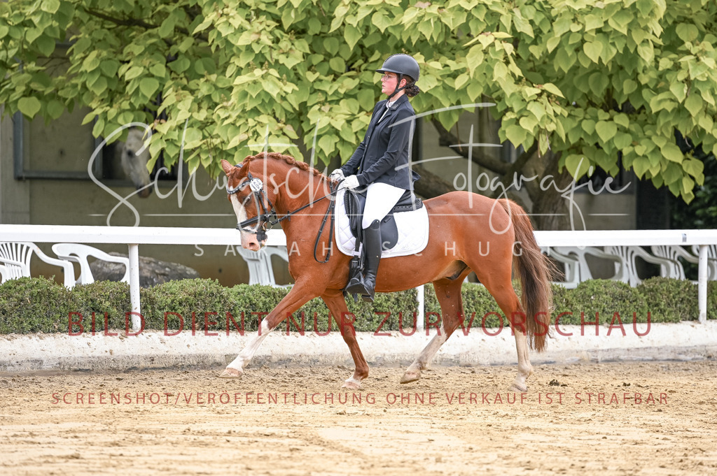 Schugtsche-Aluta25-42.EDressur -268 | Schugtsche Fotografie - Realisiert mit Pictrs.com