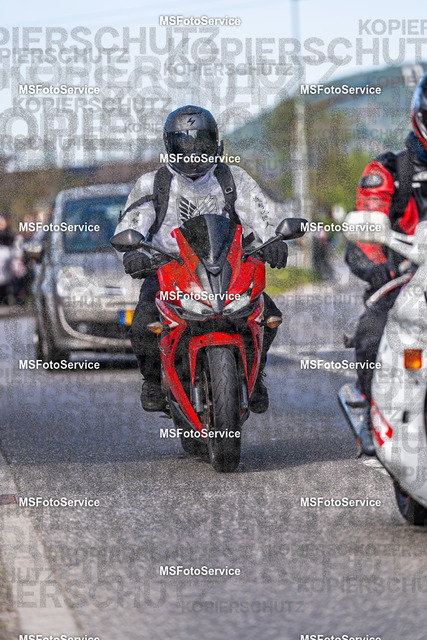 MSFotoService-682 | MSFotoService - Realisiert mit Pictrs.com