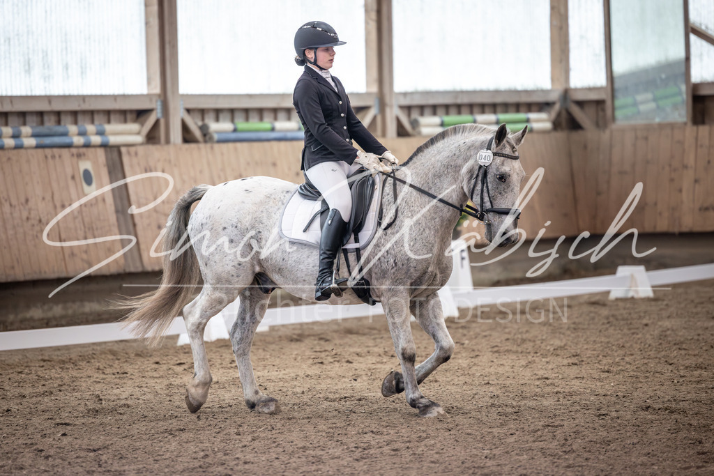 20251011-_3LI0634 | Tierfotografie Pferde, Hunde, Katzen, Haustiere.
Turnierfotografie Reitturniere, Reiten, Springreiten, Dressur in Hanau, dem Main-Kinzig-Kreis und dem Rhein-Main- Gebiet um Frankfurt
