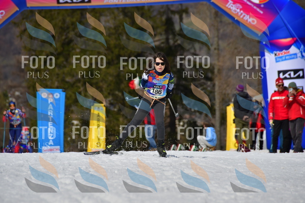 _DSC0875 | holidayphoto