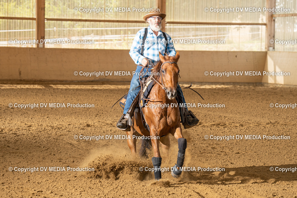 LAU01681 | dv-media-shop - Realisiert mit Pictrs.com