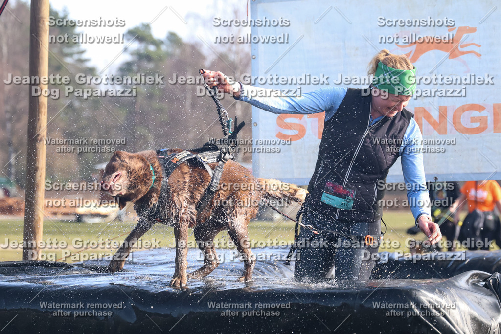Dog Paparazzi - Strongdog North Mrz26-1016 | Dog Paparazzi Jeanette Grottendiek Fotografie & Videografie - Realisiert mit Pictrs.com