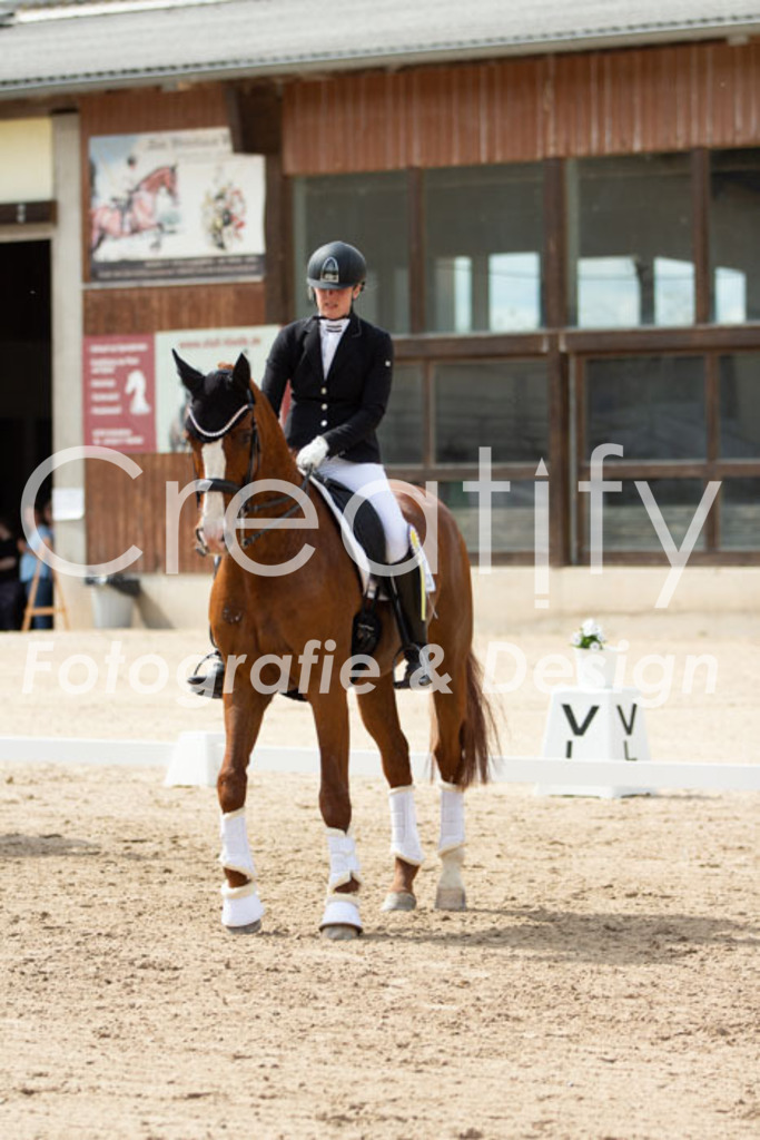 IMG_6989 | Creatify Fotografie