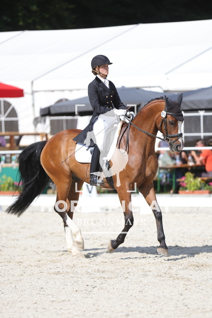 0P6A2263 | Willkommen bei Brunnmayr - Design & Fotografie – Ihrem Spezialisten für Reitturniere und Pferdeveranstaltungen in Oberösterreich, Salzburg und Bayern! Seit über 17 Jahren sind wir leidenschaftlich dabei.