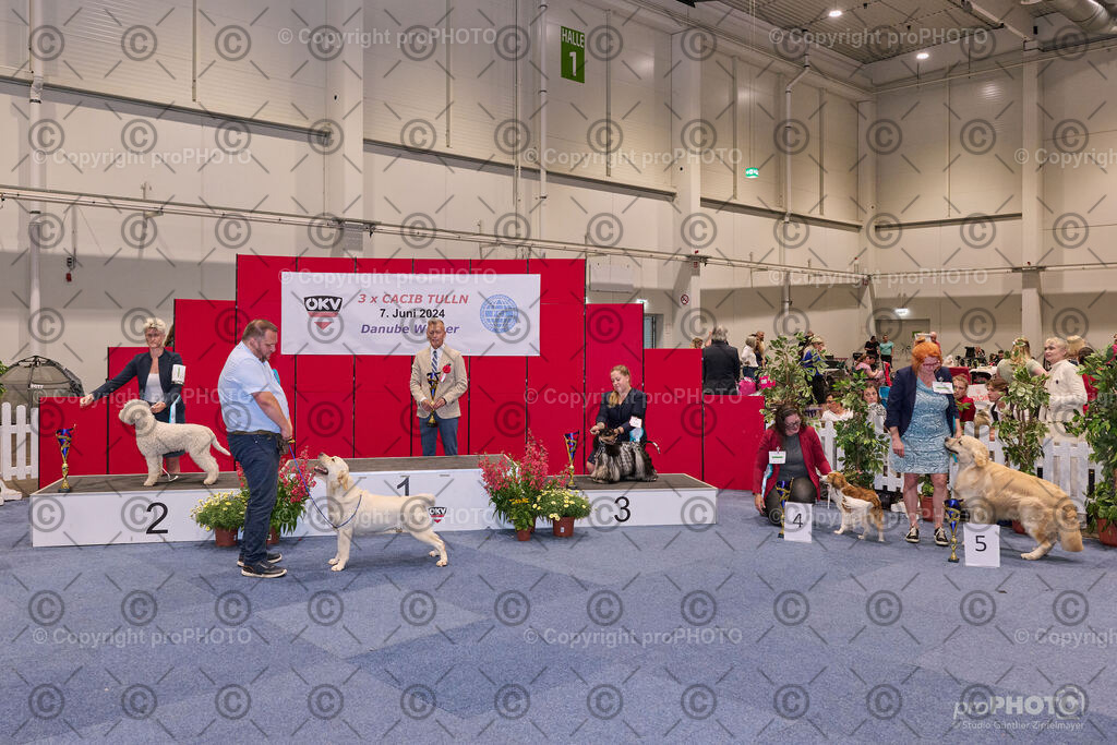 202406_ÖKV-IHA-Tulln24_NZ9_7875 | proPHOTO - Realisiert mit Pictrs.com