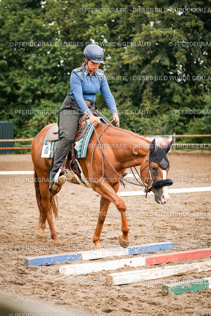 DSC04428 | Pferdegrafie