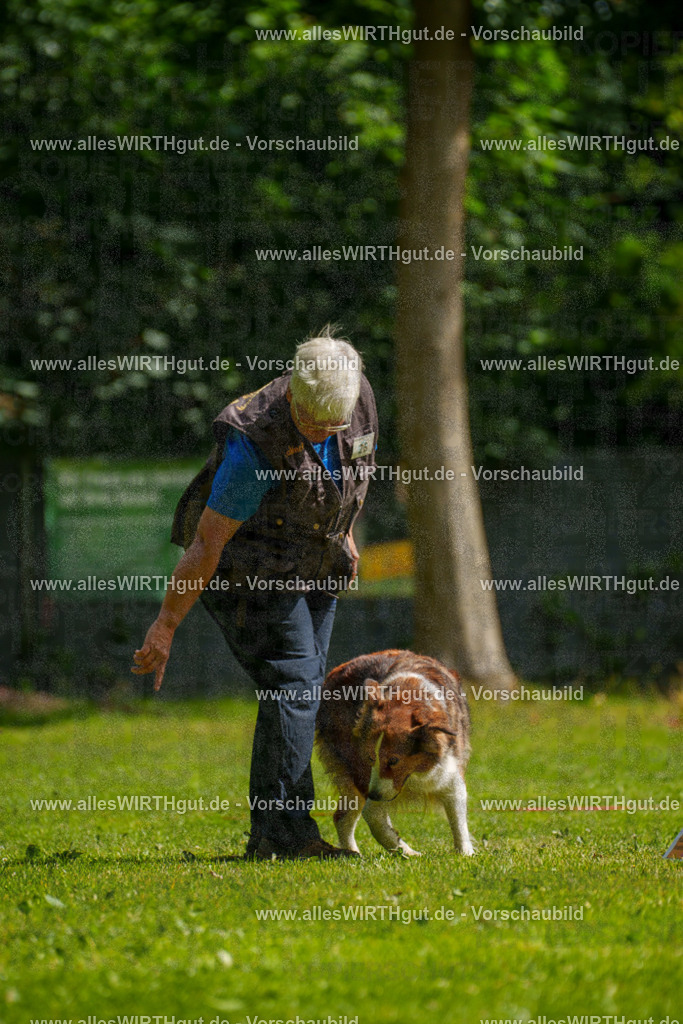 @allesWIRTHgut_Tierfotografie - www.allesWIRTHgut.de - 100641-7R508063 | Professionelle Tierfotografie in Mönchengladbach von Daniel Wirth (allesWIRTHgut). Liebevolle & natürliche Bilder von Hunden & Katzen für unvergessliche Erinnerungen.