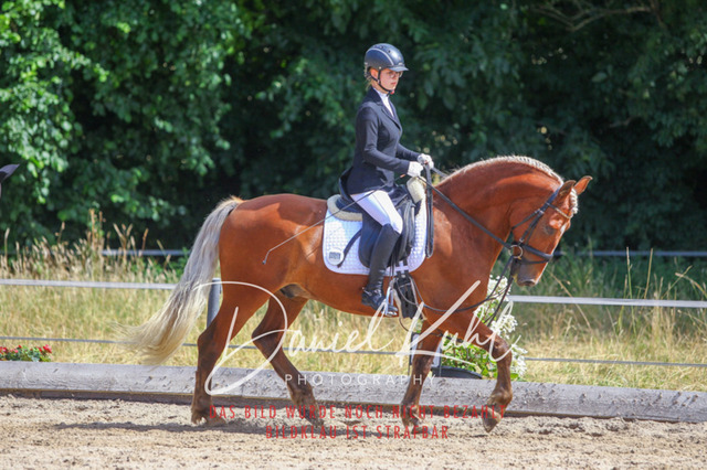 DKP46119 | Turniersportfotografie; Pferdefotografie; Dressurfotografie