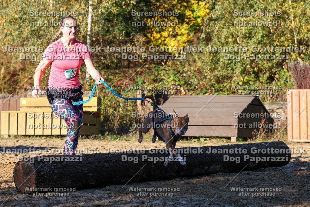 Dog Paparazzi - Strongdog 10-25-1229 | Dog Paparazzi Jeanette Grottendiek Fotografie & Videografie - Realisiert mit Pictrs.com