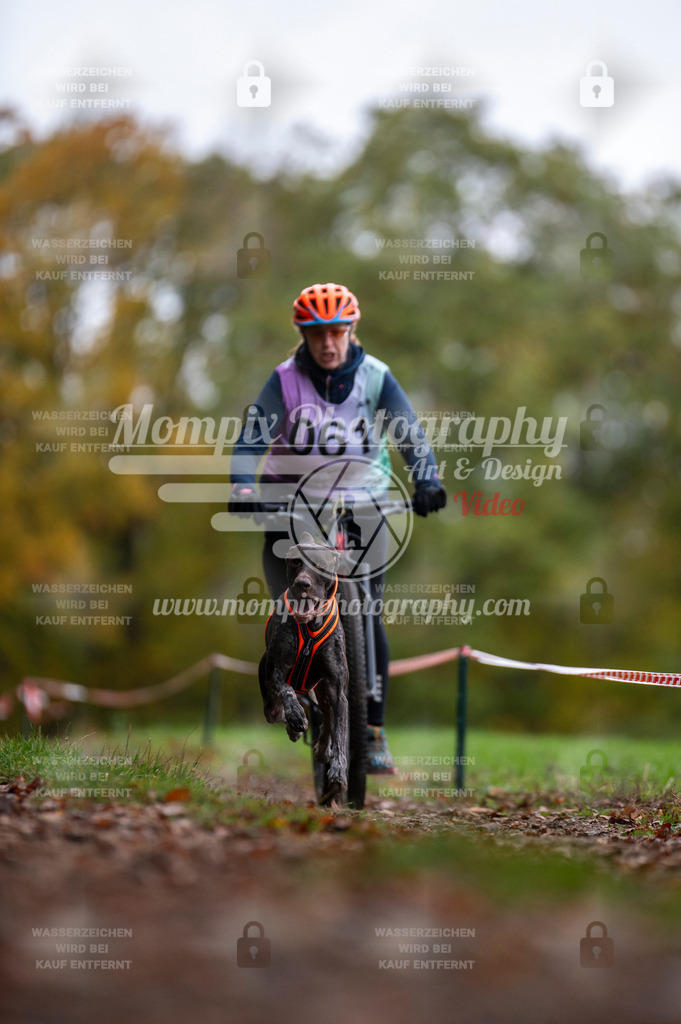 DBT_DAKM_SA_4_11_2023_Bike-62 | PayLife