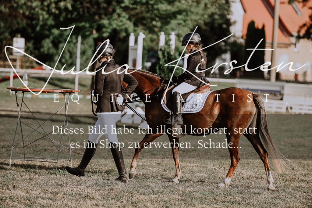 DSC_0111 | Pferde- und Turnierfotografie in Westsachsen. Pferdeportraits, Auftragszeichnungen und intuitive Kunst.