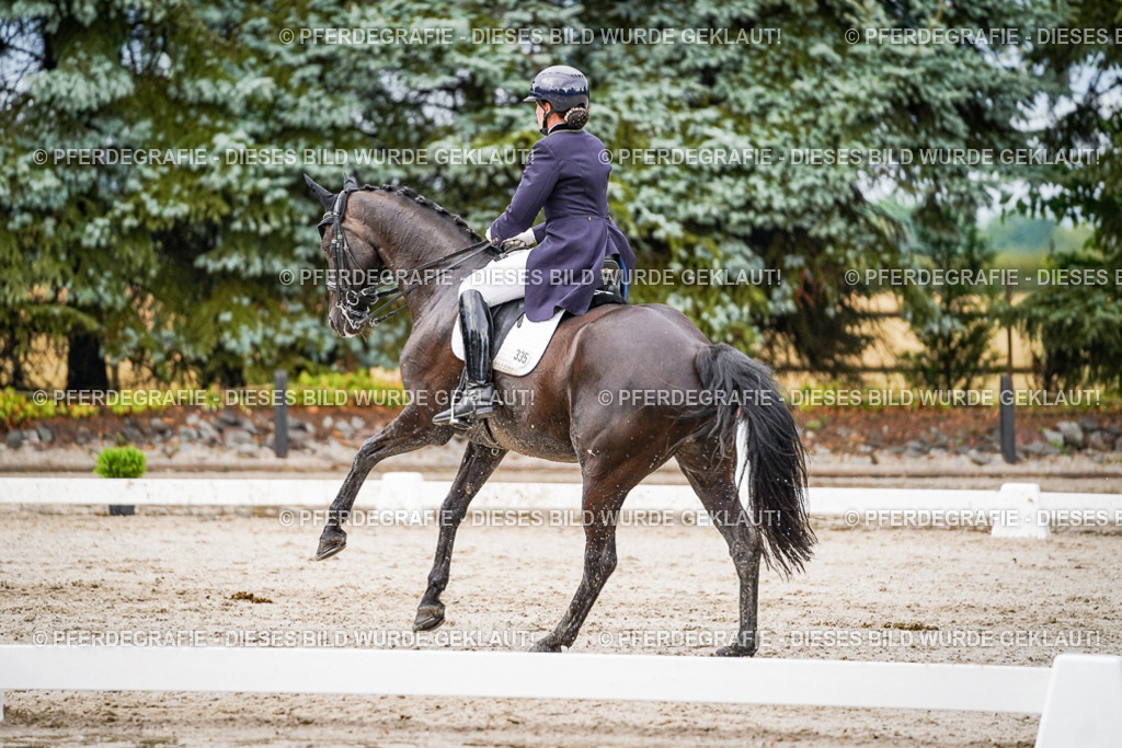 DSC09976 | Pferdegrafie