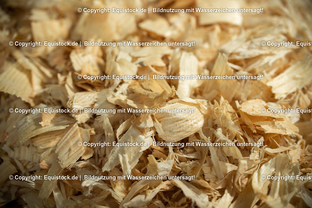 20190409_Rundholz-Span_0004 | Foto: Thomas Hartig