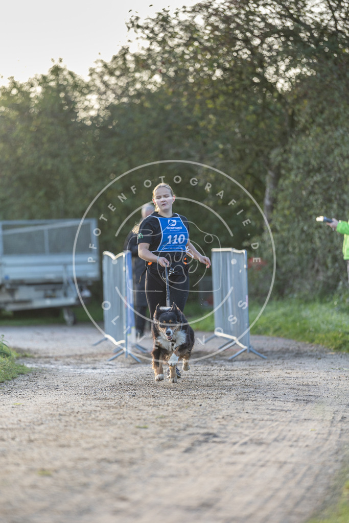 Pfotenfotografie.de_DV3A2534 | Hundefotografie, Tierfotograf, Pfotenfotografie, Fotoshooting Hund, Hunde Portrait, Hundesport, Hundeportraits, Heideshooting, Hunde, Sportfotograf, Hundefotograf, Turnierhundsport, THS, canicross - Realisiert mit Pictrs.com