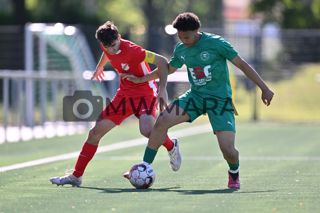 250511_EP__4487 | MWMARA - Realisiert mit Pictrs.com