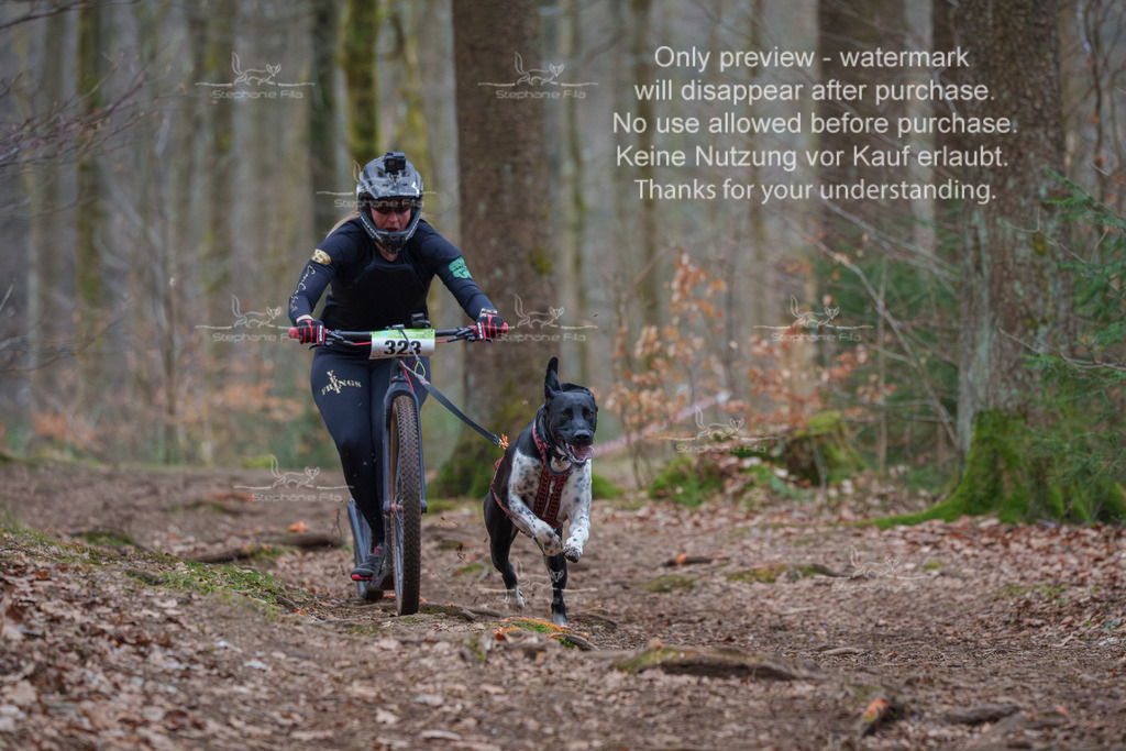 Scooter_So-5 | stephaniefillaphotographie - Realisiert mit Pictrs.com