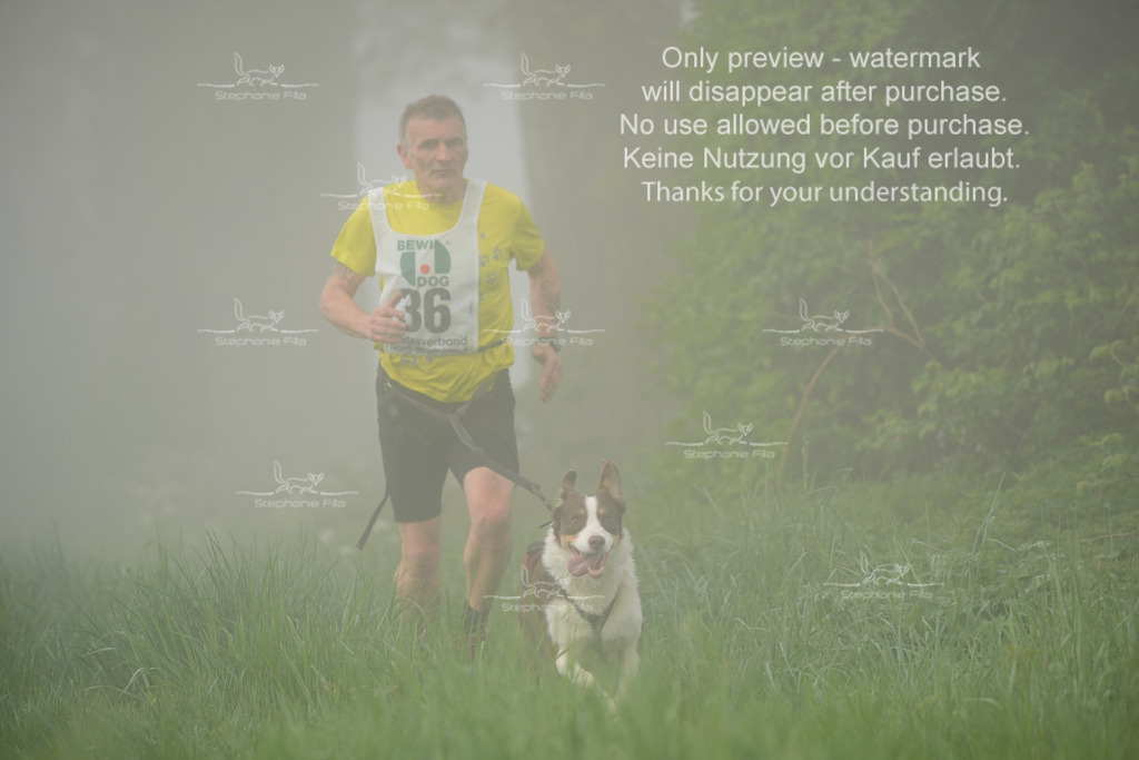 SA_GL2-192 | stephaniefillaphotographie - Realisiert mit Pictrs.com