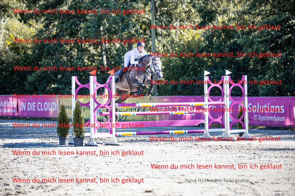BK1A5915 | Turnierbilder Turnierfotos Nina Hüffmann Turnierfotografie Pferdefotografie Tierzeichnung Haustierzeichnung Pferdezeichnung Hundezeichnung Videograf  - Realisiert mit Pictrs.com