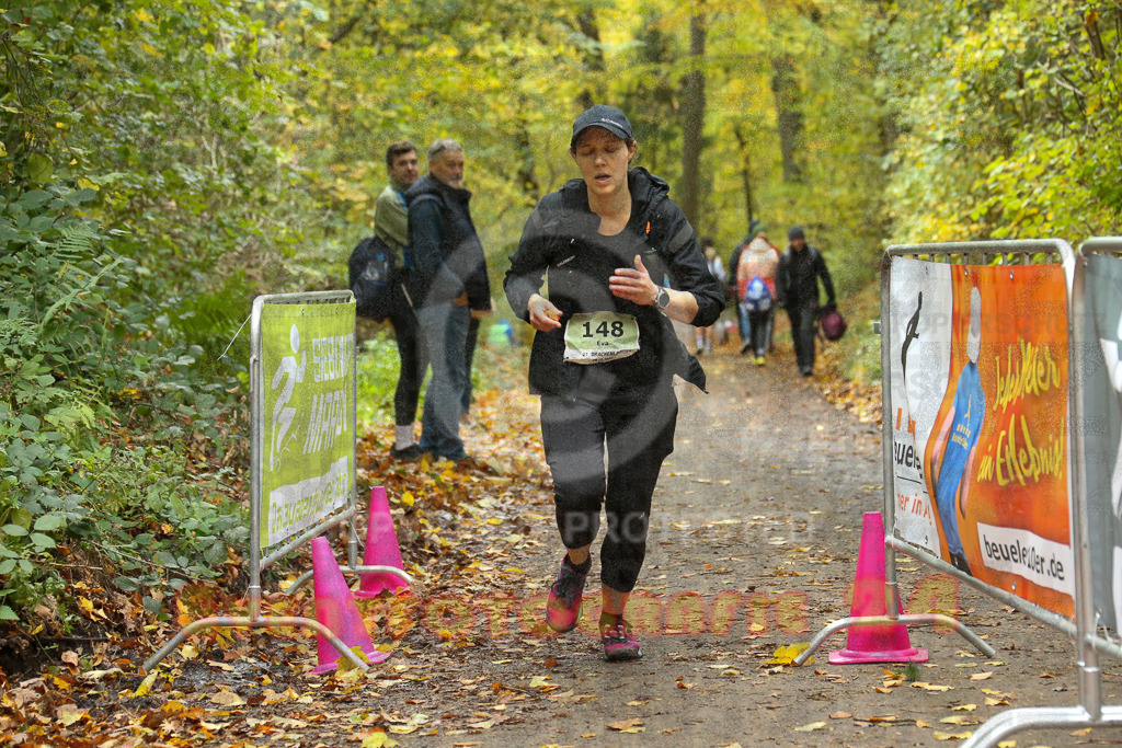 251026_1342_EX1_3883 | Sportfotografie im Rhein-Sieg Kreis, Köln, Bonn, NRW, Rheinland Pfalz, Hessen, etc. Unser Tätigkeitsfeld umfasst den Laufsport vom Volkslauf über den Marathon, Duathlon, Triathon bis zum Ultralauf wie Kölnpfad Ultra oder Schindertrail.