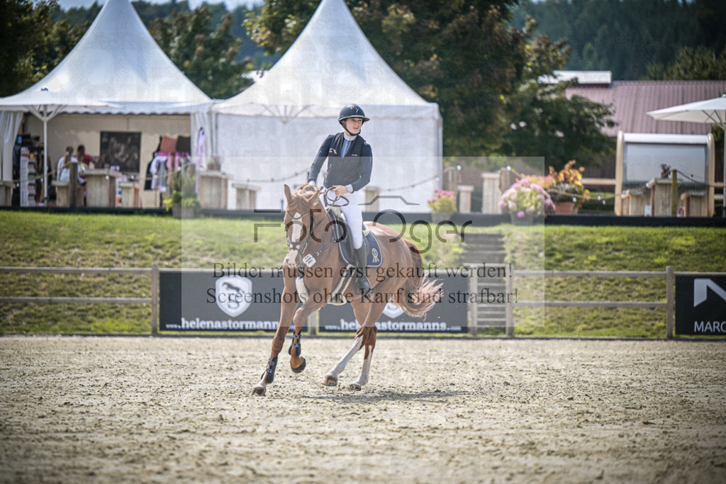 DOS_6043 | Entdecke hochwertige Reitturnierfotos von Foto Oger. Professionell, emotional und authentisch – jetzt Lieblingsmomente im Shop bestellen.Deutschlandweite Turnierfotografie. - Realisiert mit Pictrs.com