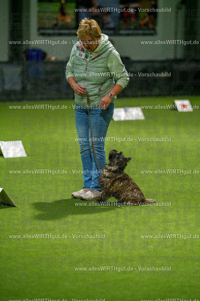 7R508533 | Professionelle Tierfotografie in Mönchengladbach von Daniel Wirth (allesWIRTHgut). Liebevolle & natürliche Bilder von Hunden & Katzen für unvergessliche Erinnerungen.