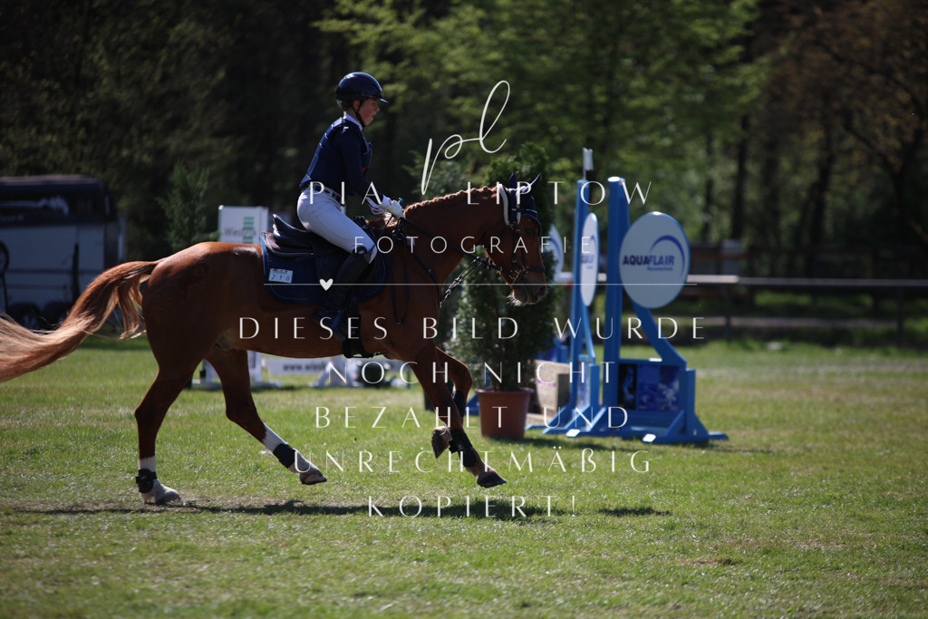 IMGT8958 | pl-fotografie