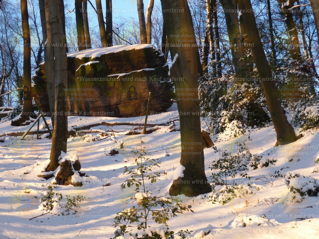 P1000226 | Fotoseite Wolkenblende - Das Hobby fotografieren begleitet mich schon  viele  Jahre. Auf den nächsten Seiten zeige ich ein paar Schnappschüsse der letzten Jahre und es kommen immer neue hinzu. Schau einfach mal rein. - Realisiert mit Pictrs.com