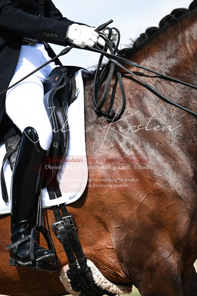 DSC_3075 | Pferde- und Turnierfotografie in Westsachsen. Pferdeportraits, Auftragszeichnungen und intuitive Kunst.
