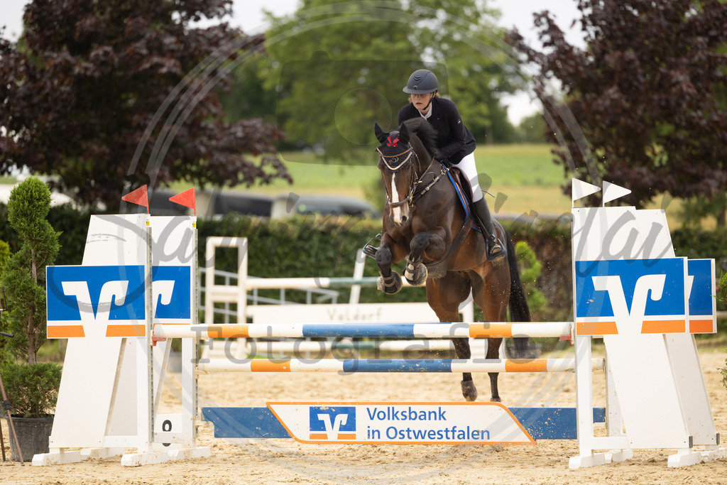 994A8990 | sabrinanicolaifotografie - Realisiert mit Pictrs.com